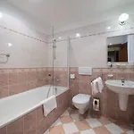Ξενοδοχείο Cerny Slon 4*