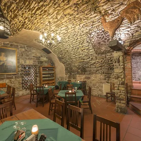Ξενοδοχείο Cerny Slon 4*