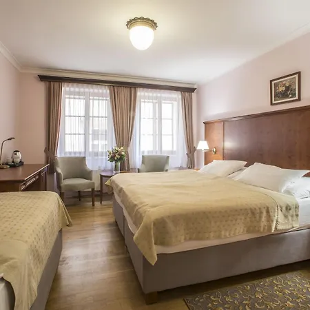 Hotel Cerny Slon 4*