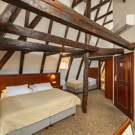 Cerny Slon Hotel 4*
