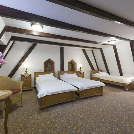 Hotel Cerny Slon 4*