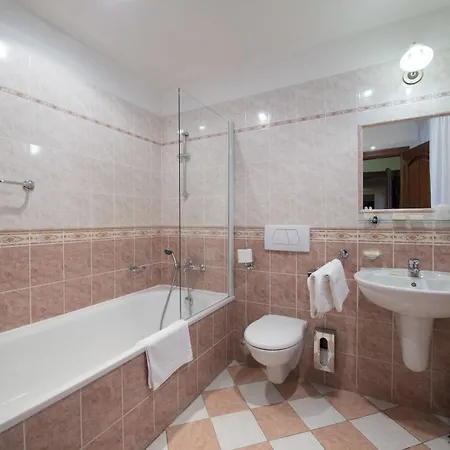 Ξενοδοχείο Cerny Slon 4*