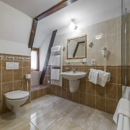 Hotel Cerny Slon