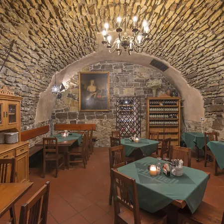 Cerny Slon Hotell Prag