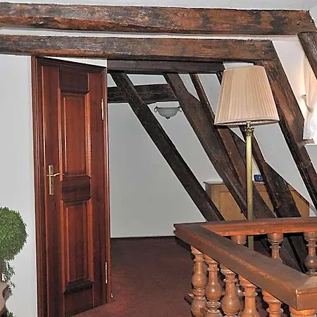 Hotel Cerny Slon 4*