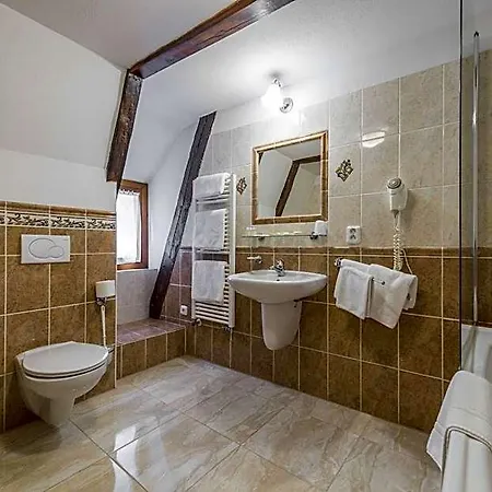 Cerny Slon Hotel