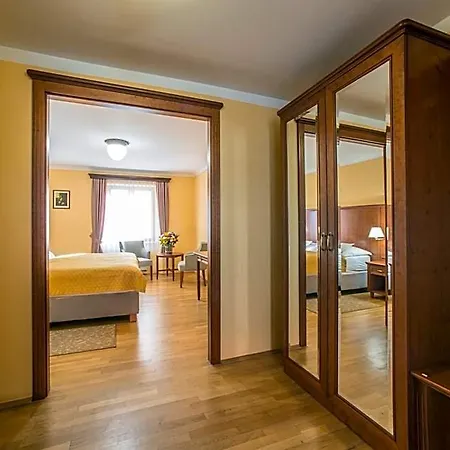 Cerny Slon Hotel