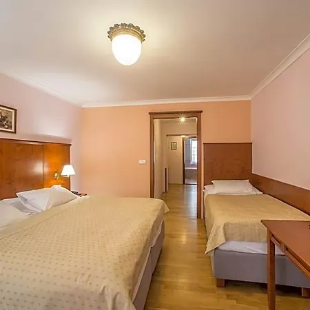Hotel Cerny Slon