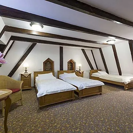 Hotel Cerny Slon 4*