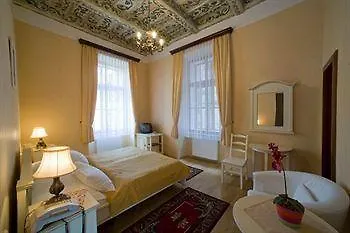 Hotel Cerny Slon 4*