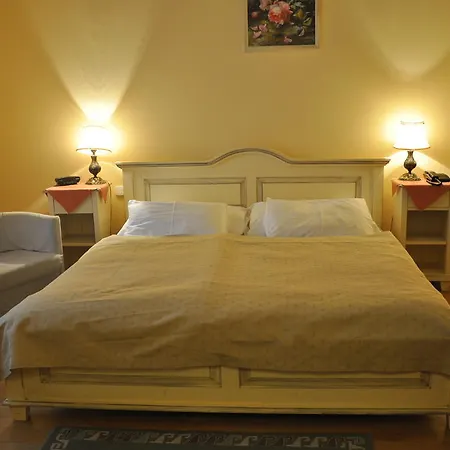Ξενοδοχείο Cerny Slon 4*