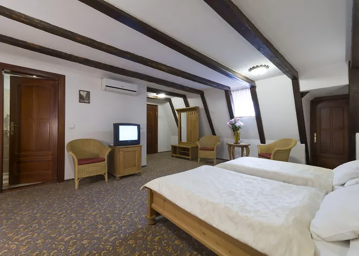 Cerny Slon Hotell