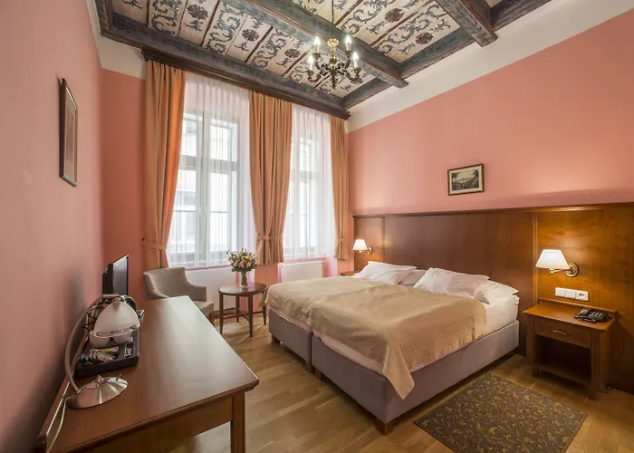 Hotell Cerny Slon