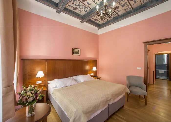 Ξενοδοχείο Cerny Slon