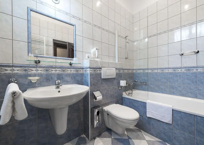 Ξενοδοχείο Cerny Slon Πράγα