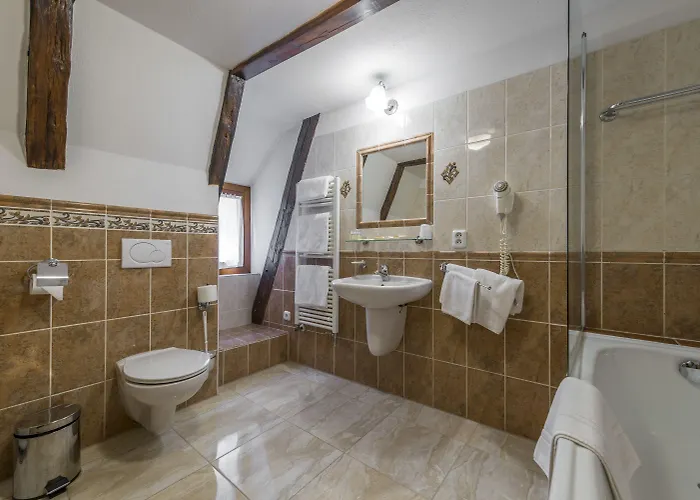 Ξενοδοχείο Cerny Slon