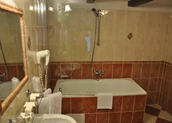 Cerny Slon Hotel 4*