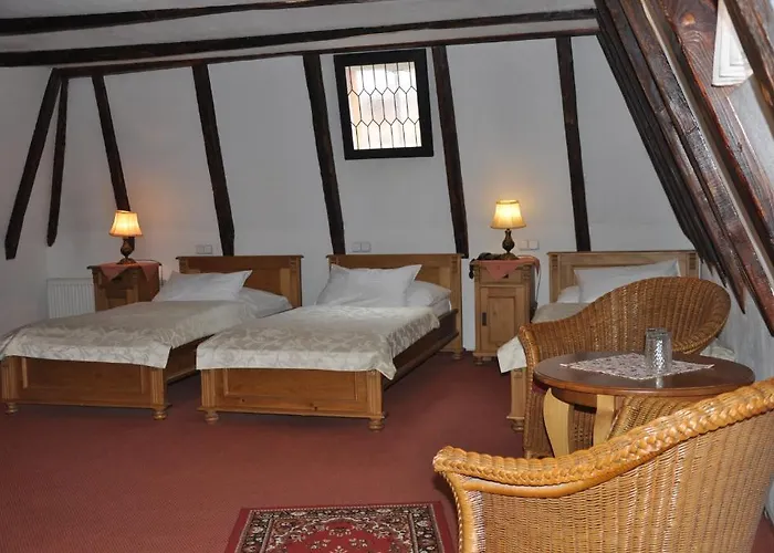 Hotell Cerny Slon
