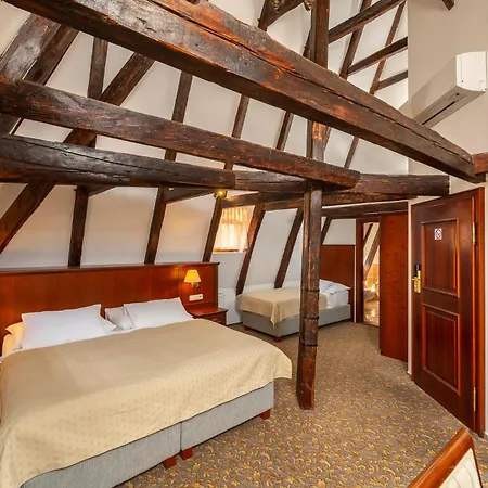 Cerny Slon Hotel 4*