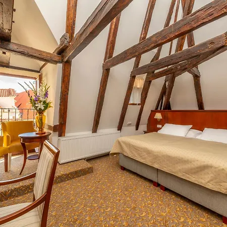 Hotel Cerny Slon 4*