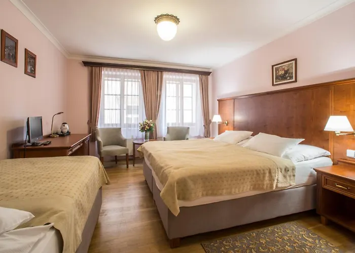 Hotel Cerny Slon 4*