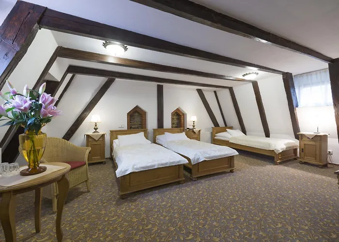 Hotel Cerny Slon 4*