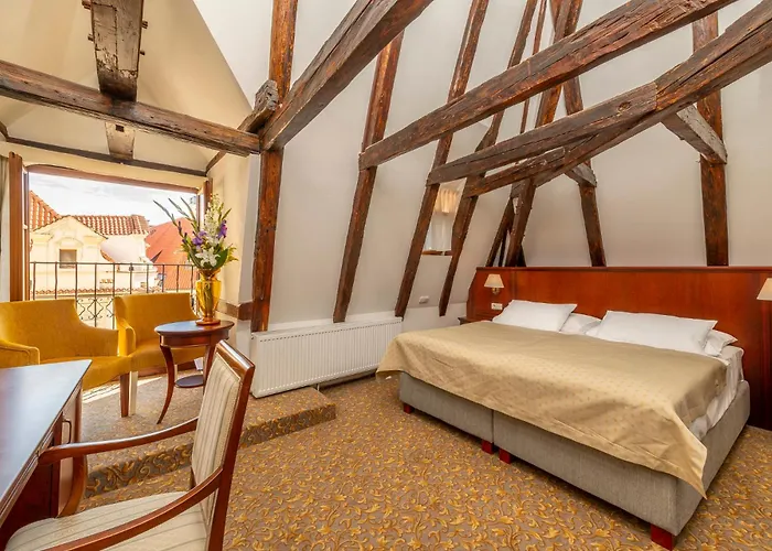 Hotel Cerny Slon 4*