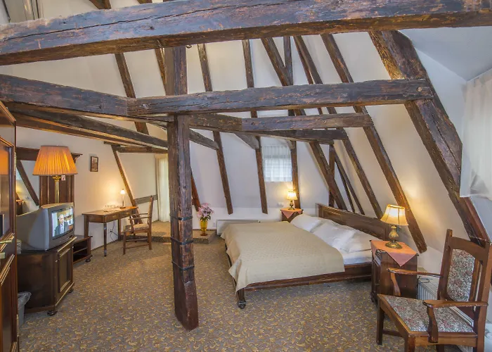 Hotel Cerny Slon