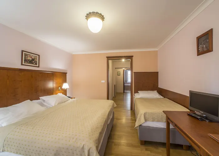 Cerny Slon Hotel