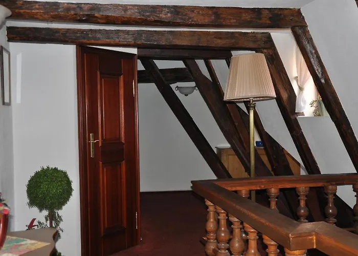 Hotel Cerny Slon