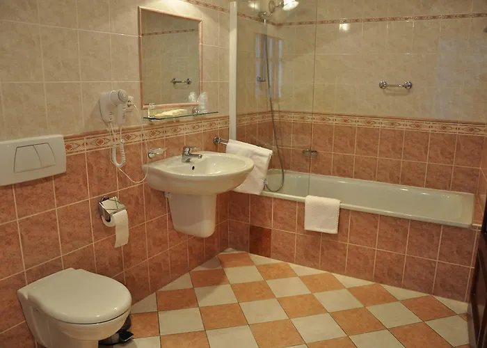 Cerny Slon Hotel