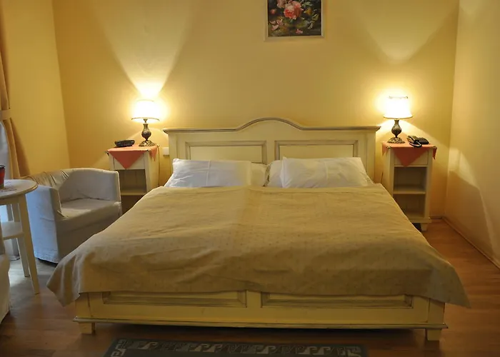 Hotel Cerny Slon 4*