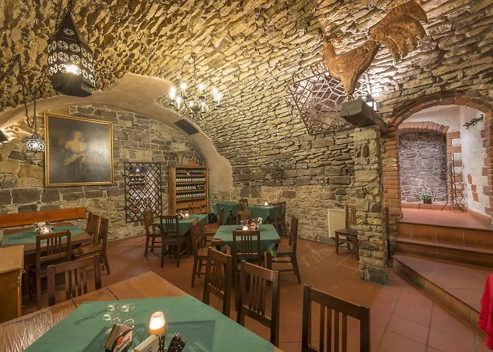 فندق Cerny Slon 4*