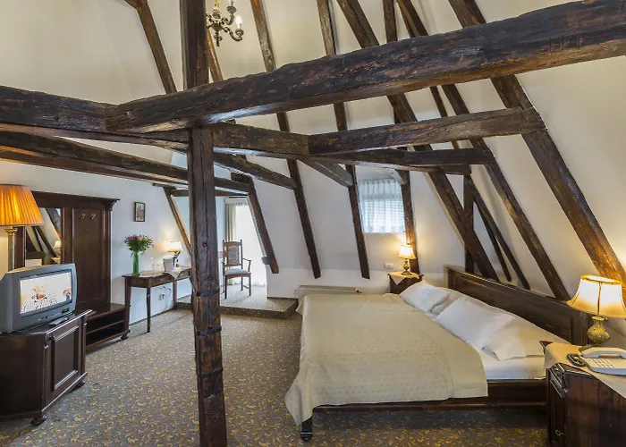 Cerny Slon 4* براغ